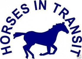 Online Design - Adesivo "Horses in Transit" per Horsebox - Arancione