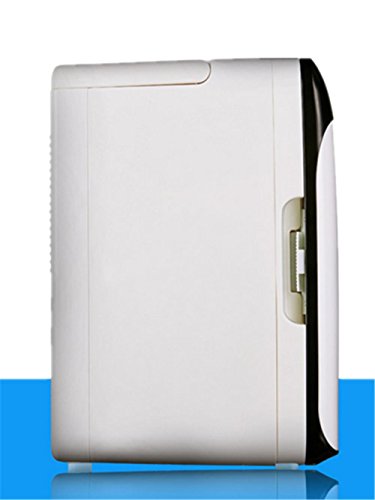 10L Mini Frigo auto frigorifero 12V del dispositivo di raffreddamento di sicurezza a doppio uso caldo / freddo Home / auto portatile Ghiacciaia fredda e Incubatore caldo (bianco) , black and white