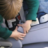 2pack pulsante di sicurezza cintura di Guardia Guardia Salvaguardare i minori!