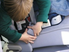 2pack pulsante di sicurezza cintura di Guardia Guardia Salvaguardare i minori!