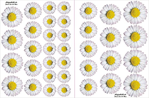 Adesivi per Auto, disegno floreale: Flower Set 06 Mini 36 pezzi