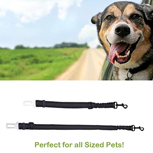 Adogo cane cintura di sicurezza, cintura di sicurezza universale auto cane gatto pettorina in nylon con elastico Bungee buffer ,2 pezzi