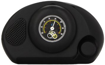 Bottari 16260 Termometro Per Auto