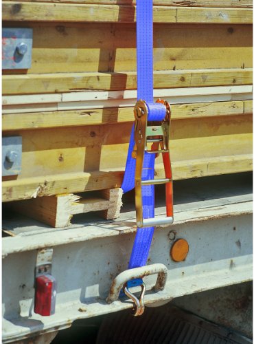 Braun Cinghia 4000 daN, 2 pezzi, colore blu, 8 m di lunghezza, 50 mm Larghezza di banda, con cricchetto e gancio a punta lunga leva