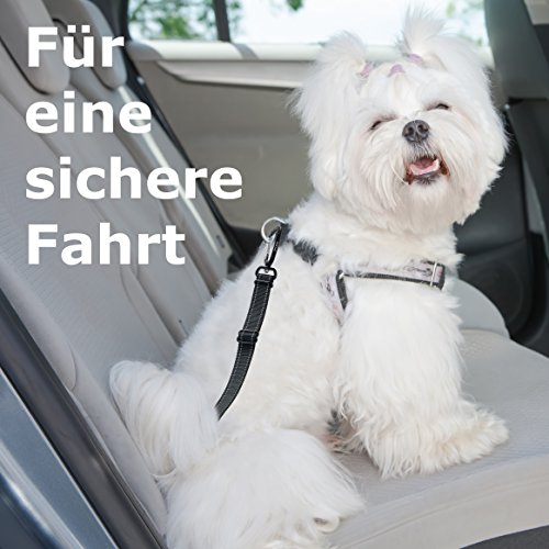 Cane auto cintura di sicurezza, fissaggio Isofix, cinghia per cani, cane cintura di sicurezza, moschettone in alluminio, per sedile posteriore e soffietto, adatto anche per gatti