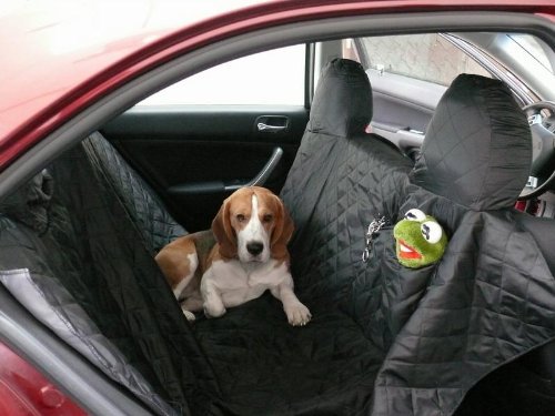 Cane Coperta protezione auto auto di alta qualità coperta cani 140 x 180 cm grafite