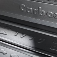 Carbox 202063000 Vasca Proteggi Baule