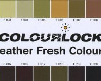 Colourlock Leather Fresh - Per Colorare Pelli Pigmentate Colore Cartella F011, 30 Ml