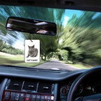 Deodorante Per Auto Personalizzato CHARTREUX CAT
