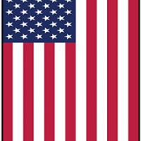 Deodorante Per Auto Personalizzato Con La Bandiera USA FLAG