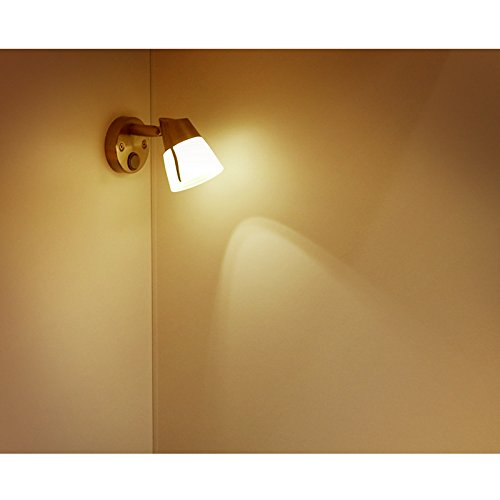 Dream Lighting Lampada da Lettura,12 Volt Luce da Muro,Vetro Smerigliato,Bianco Caldo LED,2 Luci nel Pacchetto