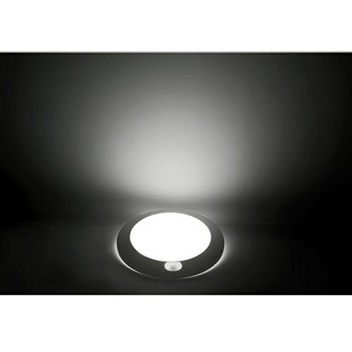 Dream Lighting Plafoniera Auto Interna/Pannello Luminoso a LED da 12V 76mm con interruttore per Carovana/Rimorchio Camper/Automobili/Barca/Luce da soffitto, Bianco freddo