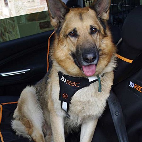 (extra large) Rac avanzata 2 in 1 auto cintura di sicurezza per cani