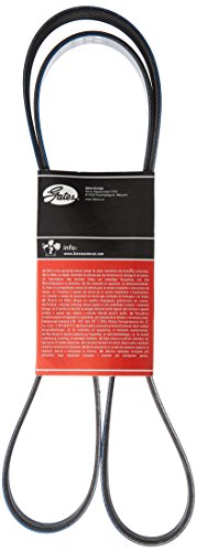 GAT 6PK1700 Cinghia trapezoidale scanalata Micro-V® XF
