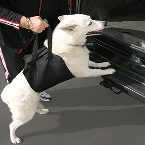 Imbracatura Supporto Portatile per Cani Confortevole Riabilitazione Cane Disabili Cinghia di Assistenza Difficile Camminare(M petto 75cm)