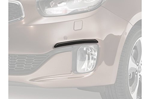 Kia A4270ADE00 protezione per le estremità dei effetto spazzolato, anteriore e posteriore