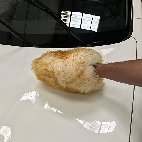 Koala Car Care 851802 Guanto di lavaggio auto