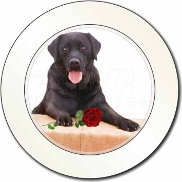 Labrador nero con rosa rossa Bollo auto disco regalo titolare del permesso