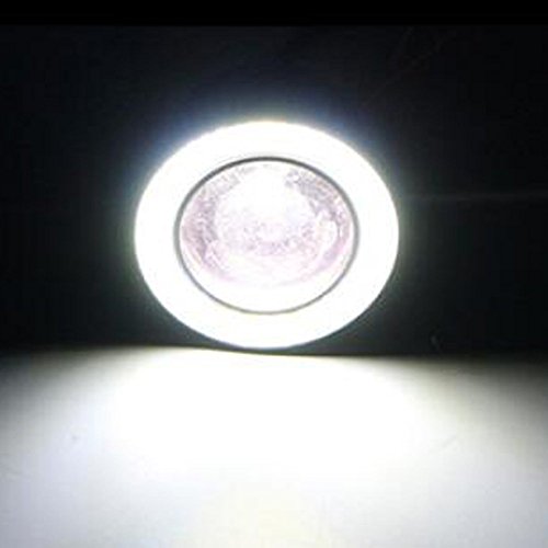 Ledholyt 2PCS High Power COB LED proiettore Fog Light Angel Eye Halo anello DRL guida lampada allo xeno bianco, White, 2.5in 12.00 volts