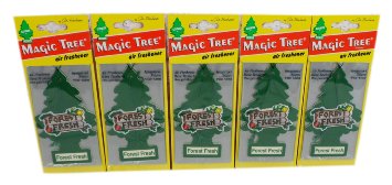 Magic Tree "Little Tree" deodorante per auto profumo foresta fresca - pezzi 5