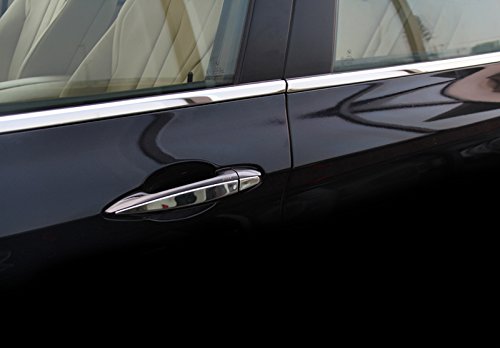 Maniglia laterale in acciaio INOX Stripe cover Trim 8PCS per auto di BM2S
