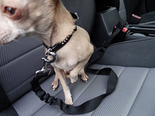 Morbido seggiolino auto con cintura e cinghie di fissaggio sedile per cani/gatti/Pet, Material: Stoff, mit Hundegurt, Größe 45 x 45 x 18 cm