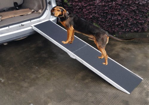 mypets® hunderampe Comfort Walk in alluminio pieghevole rampa Rampe auto cani scale portata fino a 180 kg – pieghevole e salvaspazio, facile