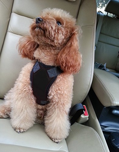 [nuova versione] regolabile imbottita da auto veicolo cane imbracatura di sicurezza per cintura Combo Pet Car Travel System Gear per grandi piccole e medie cani gatti