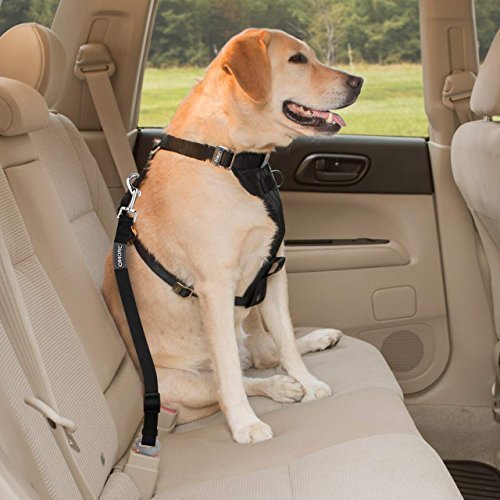 Omorc cane cintura di sicurezza, [3 pezzi] Dog Harness veicolo auto Pet cintura di sicurezza guinzaglio per cani/gatti, materiale tessuto di nylon, 19 – 68,6 cm regolabile – nero
