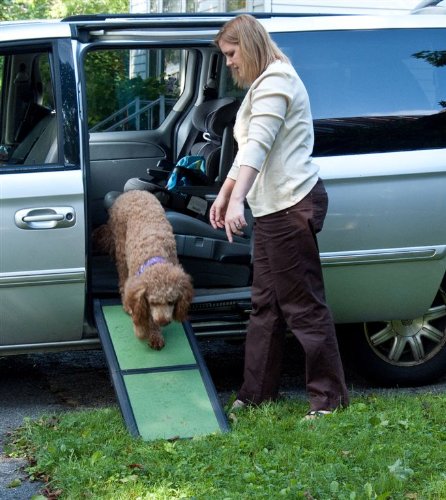 Pet Gear, rampa pieghevole per cani ultra leggera, dimensioni: 42 x 16 x 4 cm