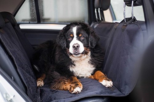 Premium coperta per cani extra grande e bella coperta per la panca posteriore, adatto per TUTTE le auto – anche SUV. Di alta qualità impermeabile pratico per il cane.