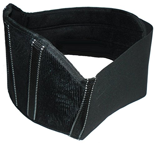 Protect Wear lombare con chiusura in velcro NG – XXL, Black, Taglia XXL/56