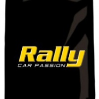 Rally 13665 Raschiaghiaccio con guanto Rally