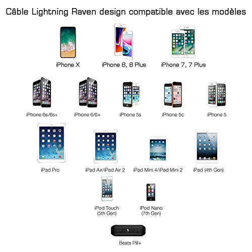 Raven design Kit caricatore per smartphone Android/Apple Nero - Pack of 2