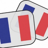 Regalo personalizzato bandiera francese Parasole della macchina