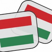 Regalo personalizzato bandiera ungherese Parasole della macchina
