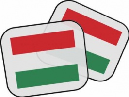 Regalo personalizzato bandiera ungherese Parasole della macchina