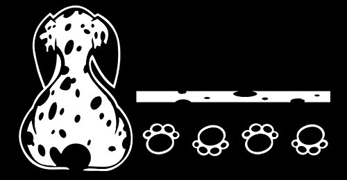Simoni Racing DOG/P Cane Pongo Adesivo per Lunotto Posteriore e Tergicristallo