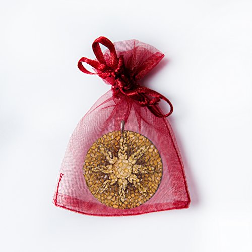 Sole - Amuleto spirituale amuleto fatto a mano con ambra baltica del Baltico Sun