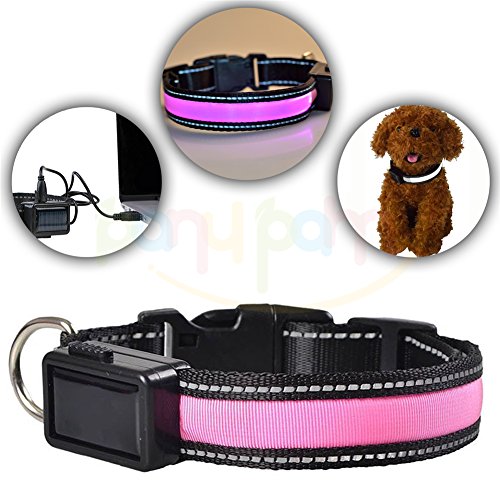 USB Ricaricabile Collare per cane con luce LED e regolabile Riflettente Lampeggianti LED Animali di Sicurezza del Cane, Impermeabile, Misura per Piccolo Medio Grande Cane di Animali Domestici - Price Xes (L, Rosa)
