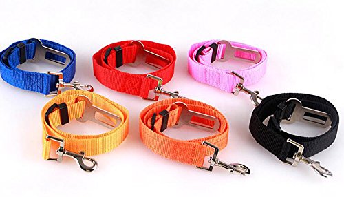 Westeng - Cintura di sicurezza per cani / gatti ed animali domestici, lunghezza: 70 cm x spessore: 2,5 cm, regolabile, perfetta per la sicurezza del tuo amico animale in auto, molto resistente 