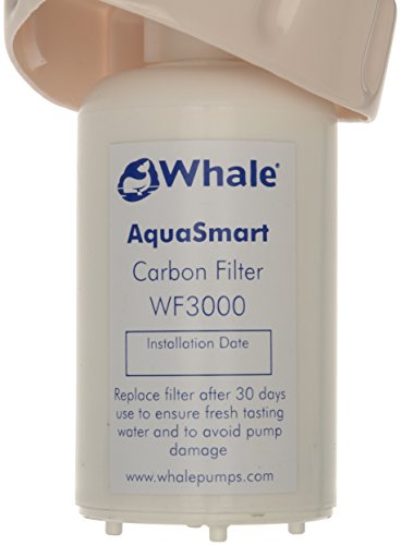 Whale AquaSmart - Tubo e filtro per serbatoio acqua del camper, colore: verde